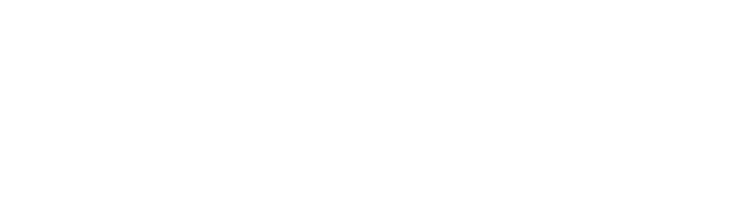 Logo weiß 300